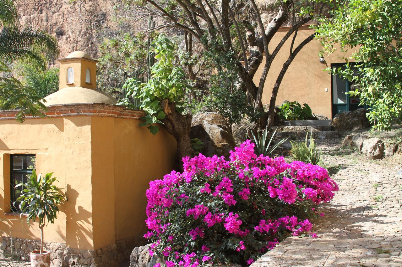 Casa Alamillo Hotel Boutique 말리날코 외부 사진